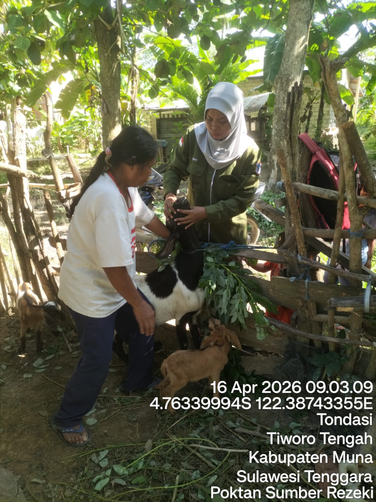 Pemberian Obat Cacing